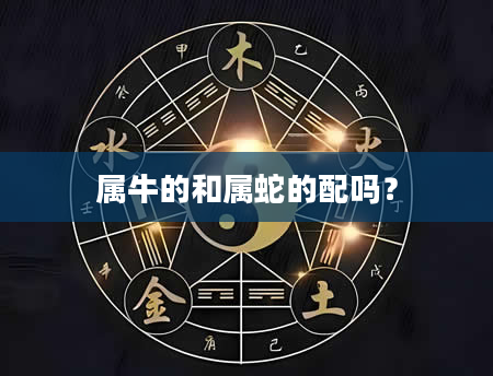 属牛的和属蛇的配吗？
