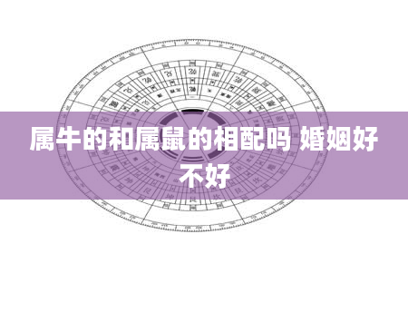属牛的和属鼠的相配吗 婚姻好不好