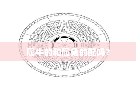 属牛的和属兔的配吗？