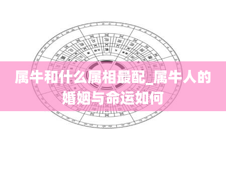 属牛和什么属相最配_属牛人的婚姻与命运如何