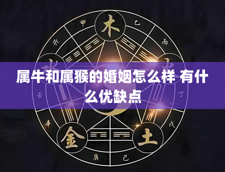 属牛和属猴的婚姻怎么样 有什么优缺点
