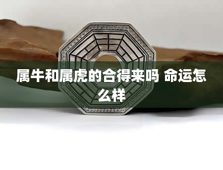 属牛和属虎的合得来吗 命运怎么样