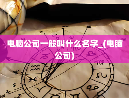 电脑公司一般叫什么名字_(电脑公司)