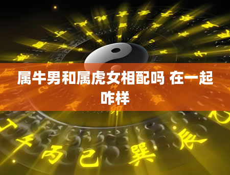 属牛男和属虎女相配吗 在一起咋样