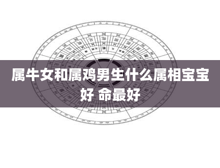 属牛女和属鸡男生什么属相宝宝好 命最好