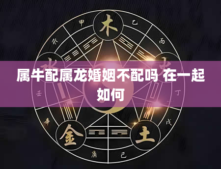 属牛配属龙婚姻不配吗 在一起如何