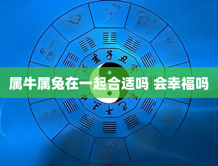 属牛属兔在一起合适吗 会幸福吗