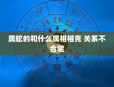 属蛇的和什么属相相克 关系不合呢