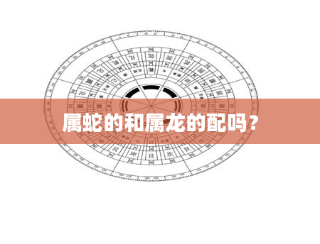 属蛇的和属龙的配吗？