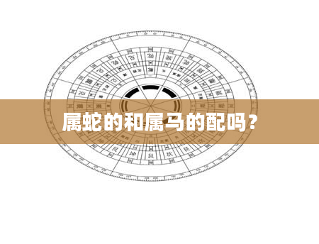 属蛇的和属马的配吗？