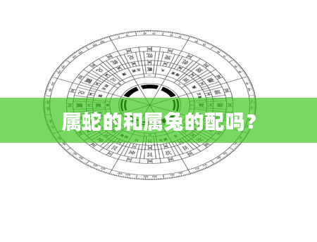 属蛇的和属兔的配吗？