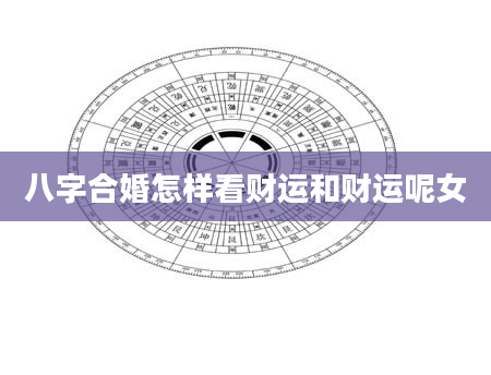 八字合婚怎样看财运和财运呢女