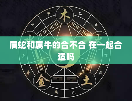 属蛇和属牛的合不合 在一起合适吗