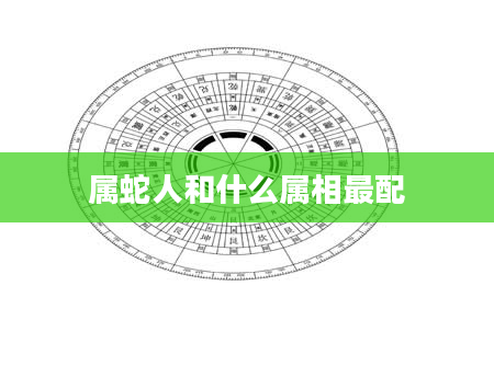 属蛇人和什么属相最配