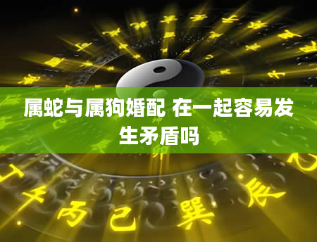 属蛇与属狗婚配 在一起容易发生矛盾吗