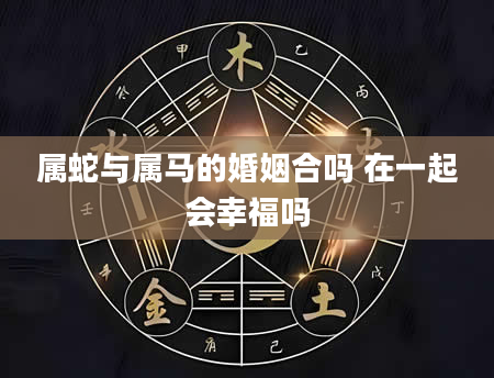 属蛇与属马的婚姻合吗 在一起会幸福吗