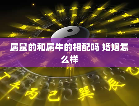 属鼠的和属牛的相配吗 婚姻怎么样