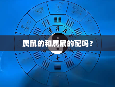 属鼠的和属鼠的配吗？