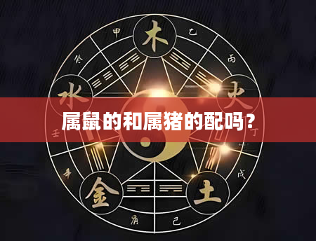 属鼠的和属猪的配吗？