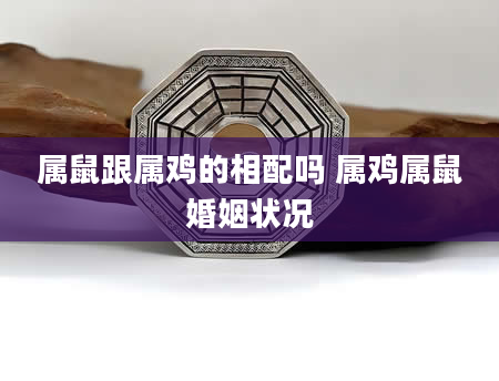 属鼠跟属鸡的相配吗 属鸡属鼠婚姻状况