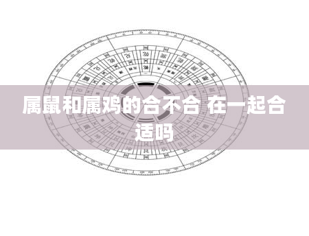 属鼠和属鸡的合不合 在一起合适吗