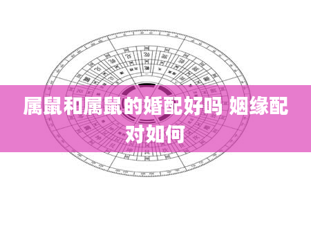 属鼠和属鼠的婚配好吗 姻缘配对如何