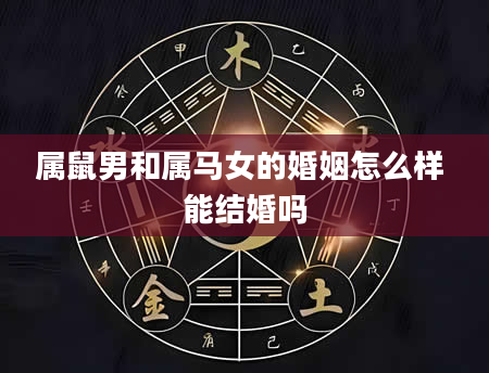 属鼠男和属马女的婚姻怎么样 能结婚吗