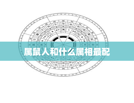 属鼠人和什么属相最配