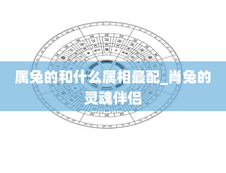 属兔的和什么属相最配_肖兔的灵魂伴侣