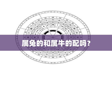 属兔的和属牛的配吗？