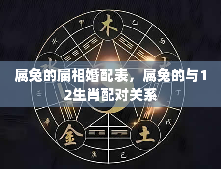 属兔的属相婚配表，属兔的与12生肖配对关系