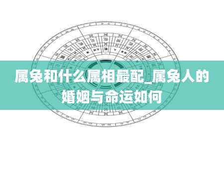 属兔和什么属相最配_属兔人的婚姻与命运如何