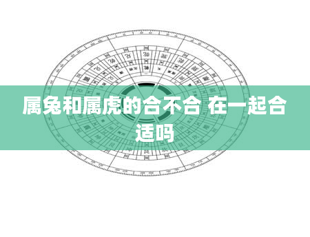 属兔和属虎的合不合 在一起合适吗