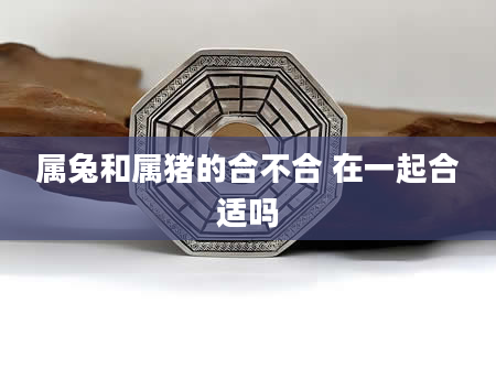 属兔和属猪的合不合 在一起合适吗