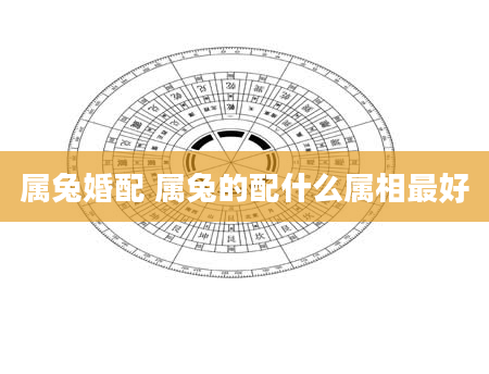 属兔婚配 属兔的配什么属相最好