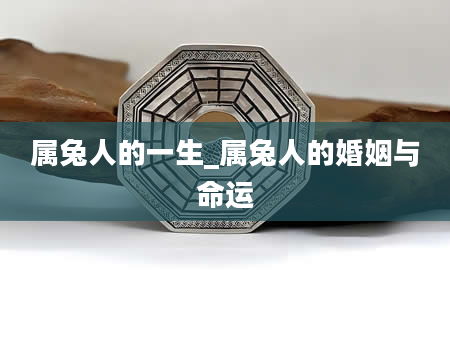 属兔人的一生_属兔人的婚姻与命运