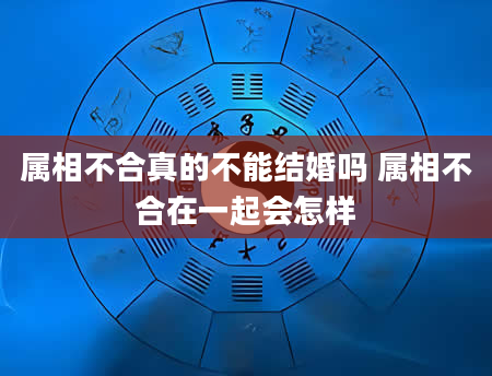 属相不合真的不能结婚吗 属相不合在一起会怎样