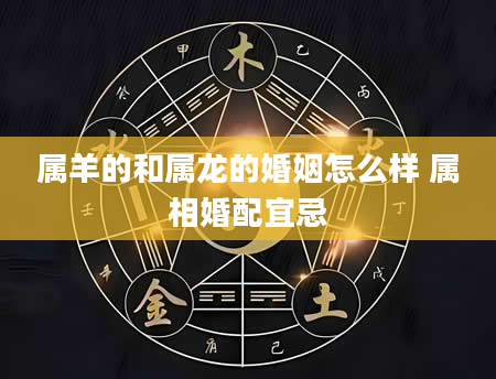 属羊的和属龙的婚姻怎么样 属相婚配宜忌