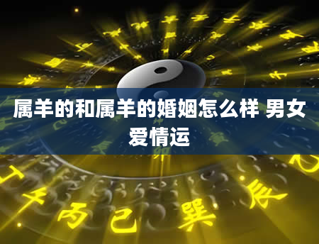 属羊的和属羊的婚姻怎么样 男女爱情运