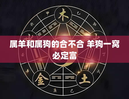 属羊和属狗的合不合 羊狗一窝必定富