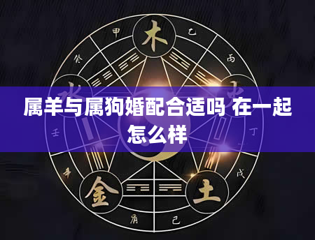 属羊与属狗婚配合适吗 在一起怎么样