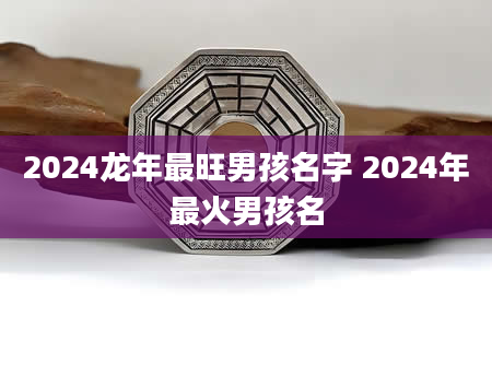2024龙年最旺男孩名字 2024年最火男孩名