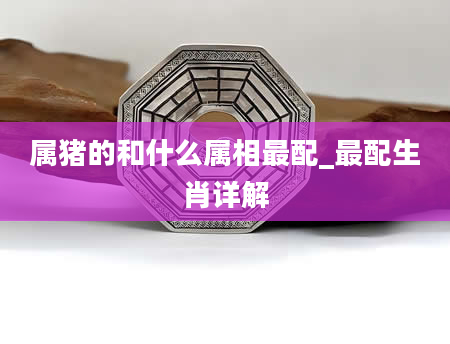 属猪的和什么属相最配_最配生肖详解