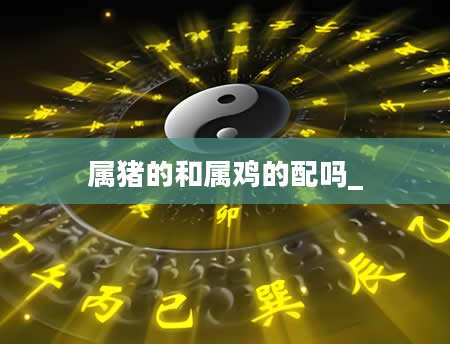 属猪的和属鸡的配吗_