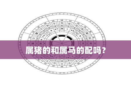 属猪的和属马的配吗？