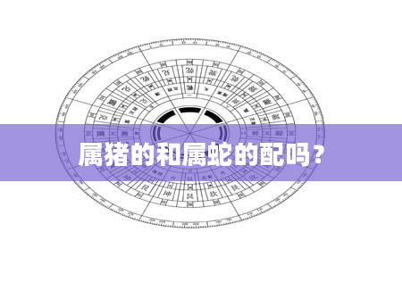 属猪的和属蛇的配吗？