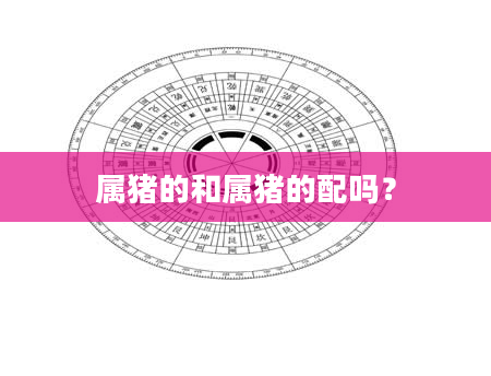 属猪的和属猪的配吗？