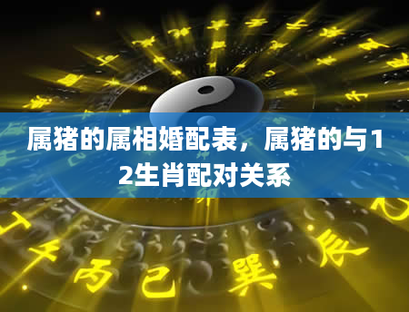 属猪的属相婚配表，属猪的与12生肖配对关系