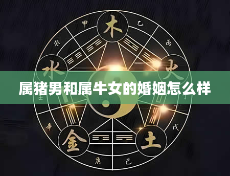 属猪男和属牛女的婚姻怎么样