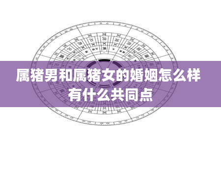 属猪男和属猪女的婚姻怎么样 有什么共同点